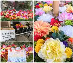 金蛇水神社(宮城県)