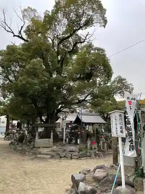 甚目寺(愛知県)