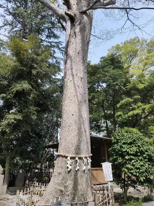 前鳥神社の庭園