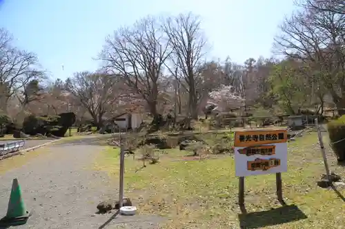 有珠善光寺の自然