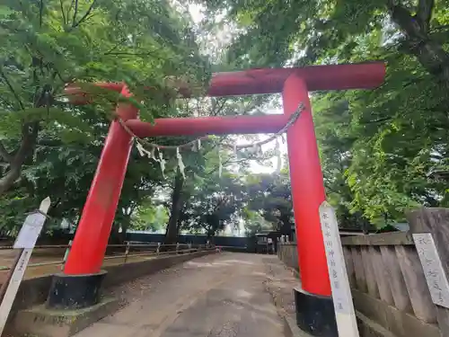 本太氷川神社の鳥居