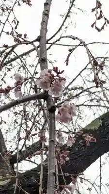琳聖寺(京都府)