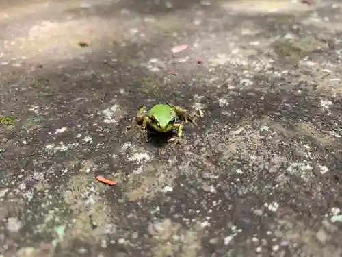 西原神社の動物
