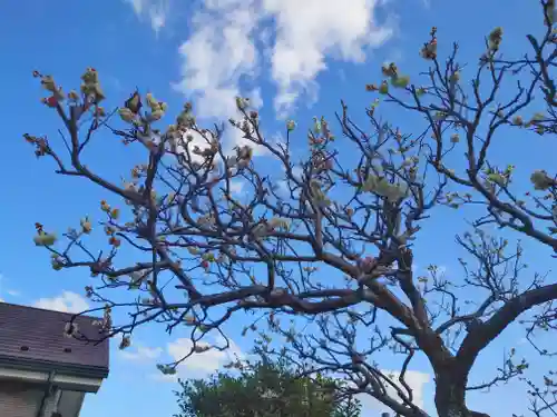山角天神社(神奈川県)