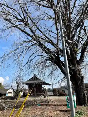 古泉馬頭観世音(栃木県)