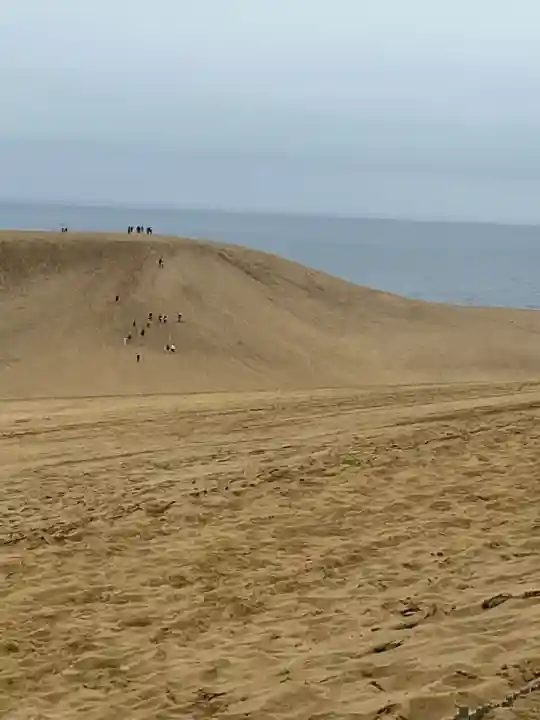 鳥取縣護國神社(鳥取県)