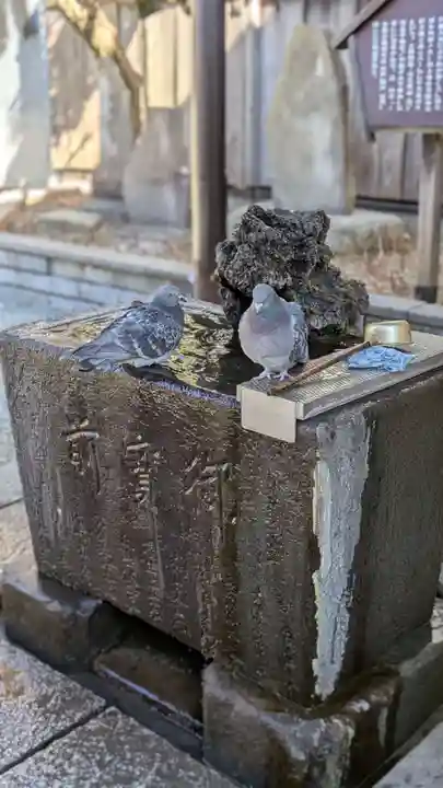 薬師神社(埼玉県)