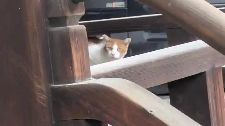 稱名寺(京都府)