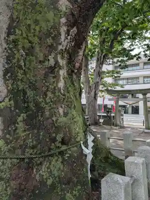 阿邪訶根神社(福島県)