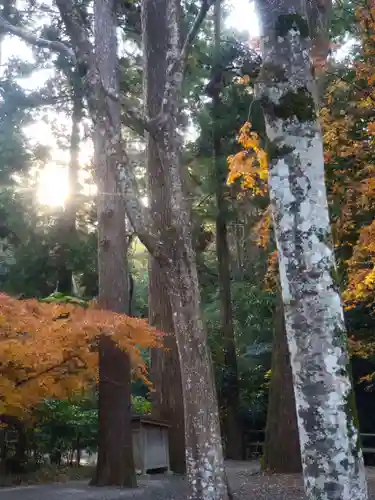 伊勢神宮外宮（豊受大神宮）の自然