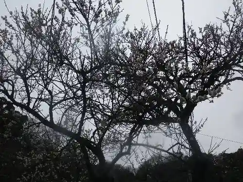 光則寺(神奈川県)