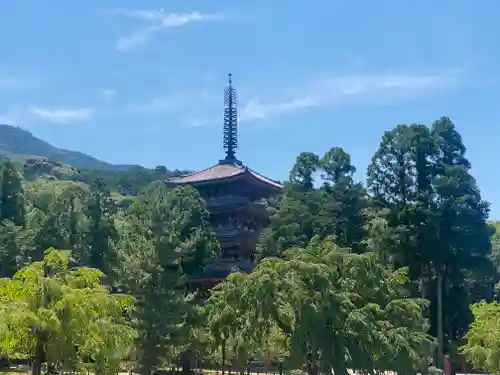 醍醐寺(京都府)
