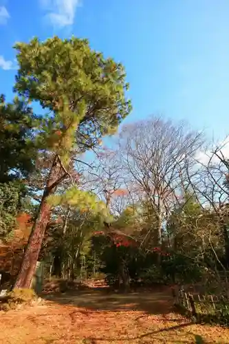 青葉神社の自然