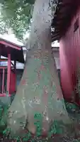 秋葉神社のその他建物