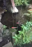 深澤銭洗弁財天の動物