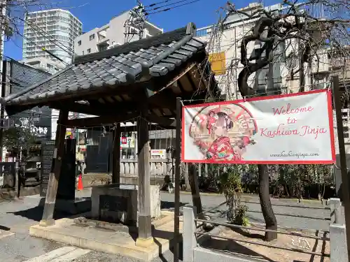 柏神社の{uncategorized: "未分類", other: "その他", undefined: "問題あり", building: "その他建物", grave: "お墓", sacred_gate: "鳥居", guardian: "狛犬", statue: "像", buddha: "仏像", history: "歴史", nature: "自然", garden: "庭園", animal: "動物", pagoda: "塔", temizu: "手水舎", mountain_gate: "山門・神門", sanctuary: "本殿・本堂", subordinate: "末社・摂社", art: "芸術", scenery: "景色", jizo: "地蔵", ema: "絵馬", goshuin: "御朱印", omikuji: "おみくじ", items: "授与品その他", amulet: "お守り", goshuincho: "御朱印帳", eats: "食事", festival: "お祭り", votive_dance: "神楽", shichigosan: "七五三参", wedding: "結婚式", experience: "体験その他", initially: "初詣", around: "周辺", anti_infection: "感染症対策"}