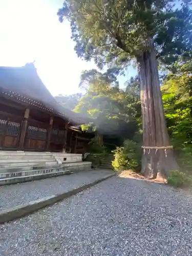 菅生石部神社(石川県)