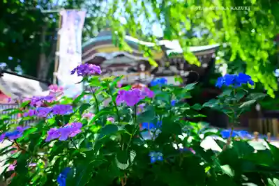 川越八幡宮(埼玉県)