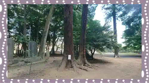 東蕗田天満社(茨城県)