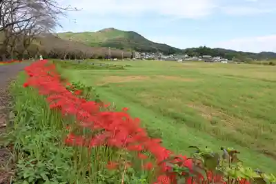 金刀比羅神社の周辺