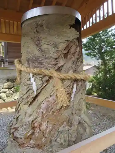 飛騨一宮水無神社の自然