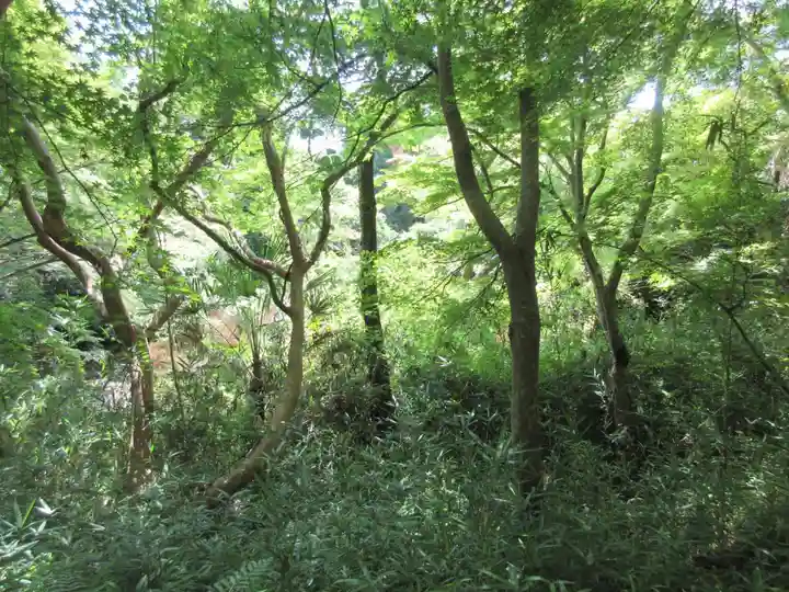 勝持寺(花の寺)(京都府)
