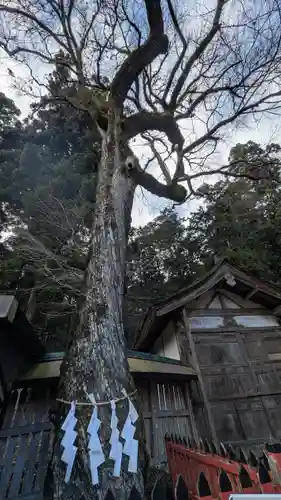 日吉大社　西本宮(滋賀県)