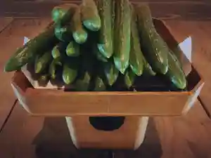 滑川神社 - 仕事と子どもの守り神(福島県) 2022年07月14日(木)〜(2022年07月14日(木) 10時44分50秒投稿)