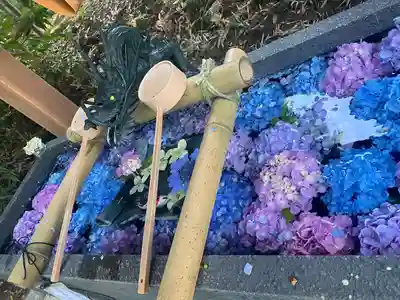 下野 星宮神社(栃木県)