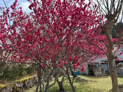 永澤寺(兵庫県)