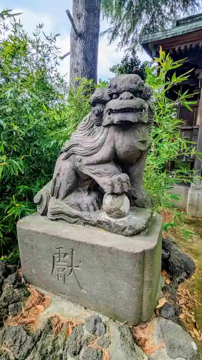 柴又八幡神社の狛犬