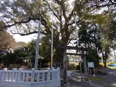 伊勢神明社(静岡県)