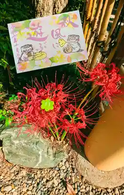 菊田神社の御朱印