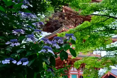 高幡不動尊　金剛寺(東京都)