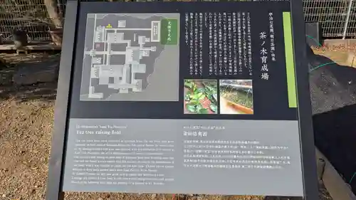 興聖寺（興聖寶林禅寺）の歴史