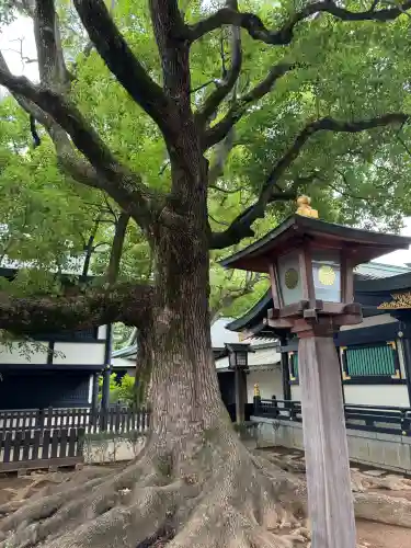 穴八幡宮(東京都)