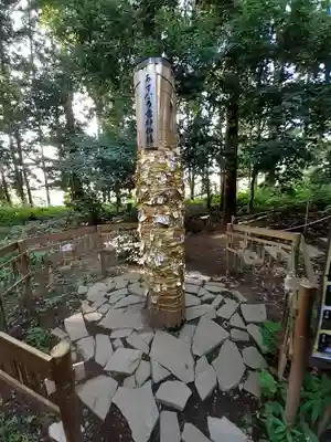 下野 星宮神社(栃木県)