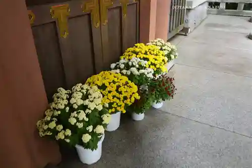 東京大神宮(東京都)