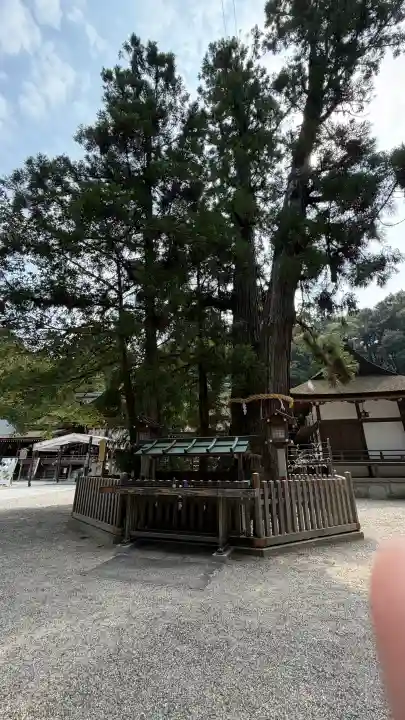 大神神社(奈良県)