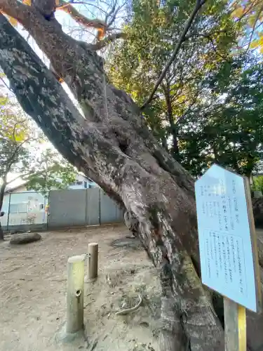 弓弦羽神社(兵庫県)