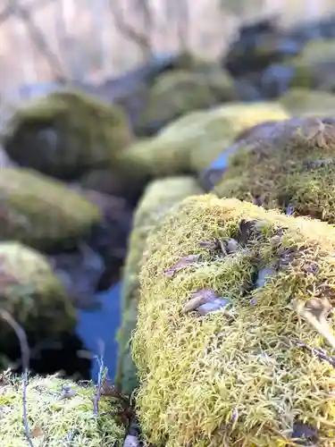 子檀倉宮(子檀嶺神社奥宮)(長野県)
