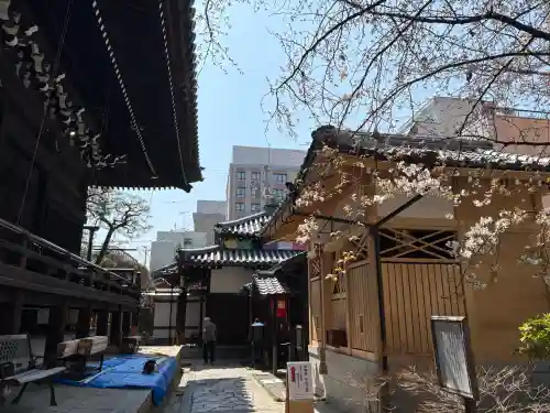 平等寺（因幡堂）の{uncategorized: "未分類", other: "その他", undefined: "問題あり", building: "その他建物", grave: "お墓", sacred_gate: "鳥居", guardian: "狛犬", statue: "像", buddha: "仏像", history: "歴史", nature: "自然", garden: "庭園", animal: "動物", pagoda: "塔", temizu: "手水舎", mountain_gate: "山門・神門", sanctuary: "本殿・本堂", subordinate: "末社・摂社", art: "芸術", scenery: "景色", jizo: "地蔵", ema: "絵馬", goshuin: "御朱印", omikuji: "おみくじ", items: "授与品その他", amulet: "お守り", goshuincho: "御朱印帳", eats: "食事", festival: "お祭り", votive_dance: "神楽", shichigosan: "七五三参", wedding: "結婚式", experience: "体験その他", initially: "初詣", around: "周辺", anti_infection: "感染症対策"}