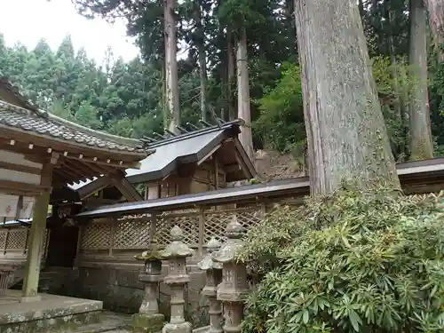 御井神社の本殿