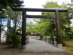 信濃神社の鳥居