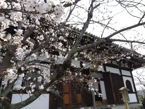 くろ谷 金戒光明寺(京都府)