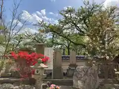 観音寺のお墓