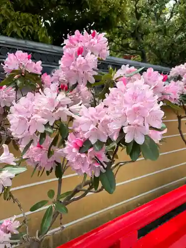 中山寺(兵庫県)