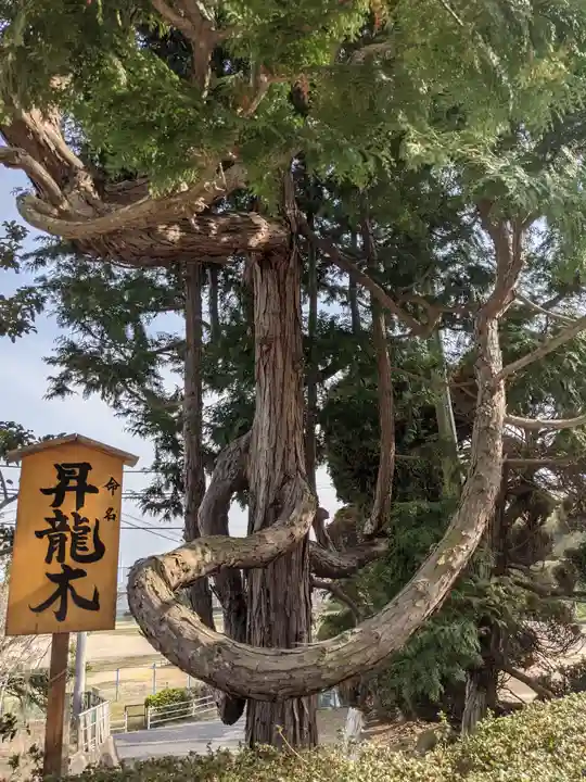 辰尾神社の自然