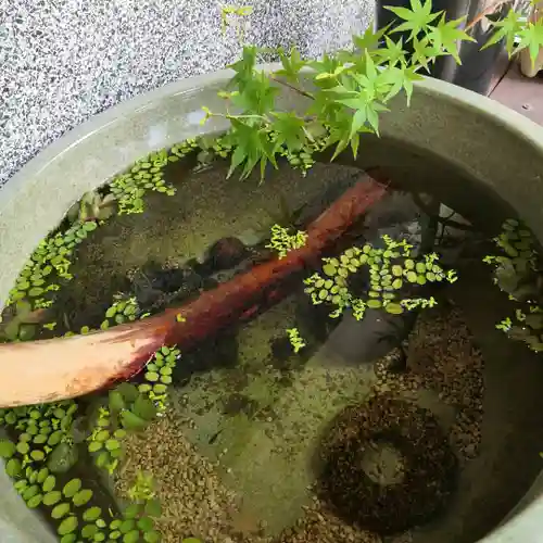 青林山　延命寺の動物