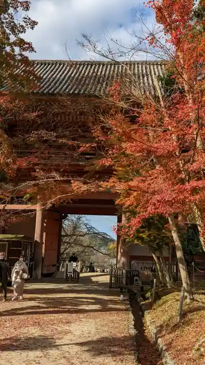 醍醐寺(京都府)